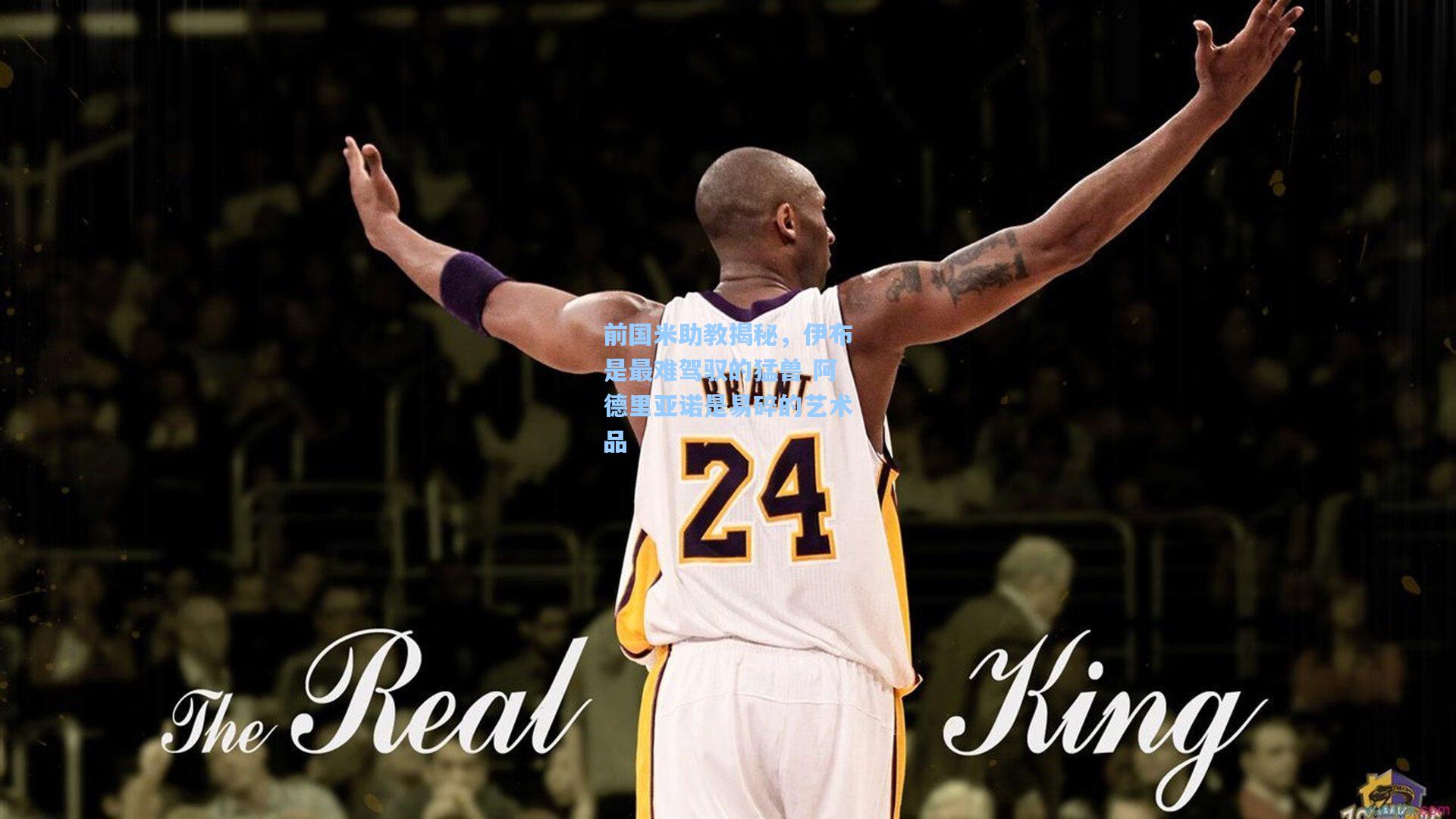 前国米助教揭秘，伊布是最难驾驭的猛兽 阿德里亚诺是易碎的艺术品